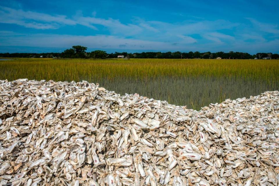 Empty oyster shells are mounded for recycling alongside the marsh at Bowen’s Island Restaurant in Folly Beach, S.C. Oct. 4, 2021.