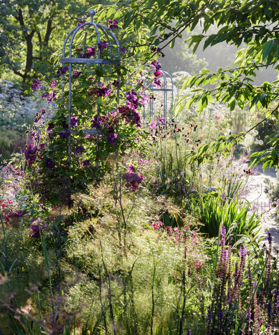 Plant fragrant flowers