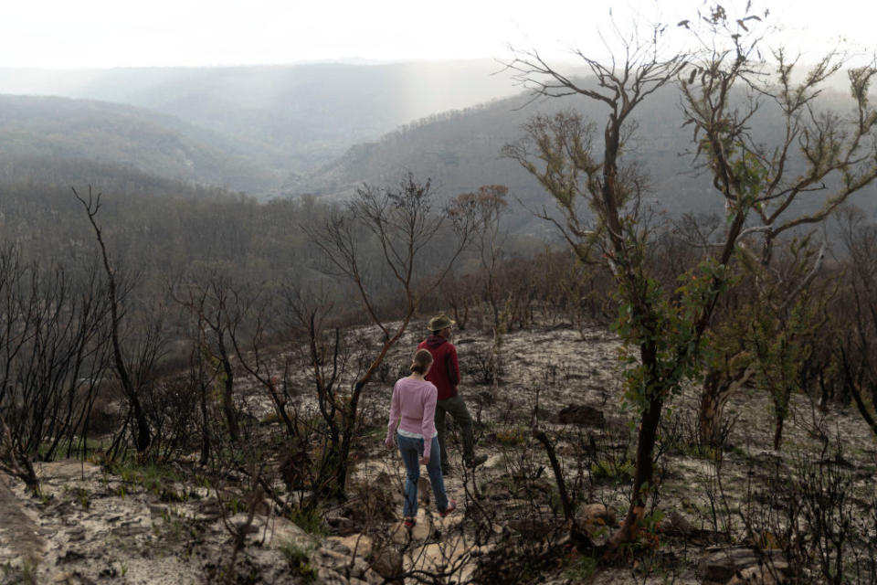 A general view as two people walk through fire damaged country in the the Greater Blue Mountains World Heritage Area near the town of Blackheath.