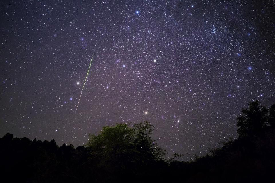 Leonids Meteor Shower