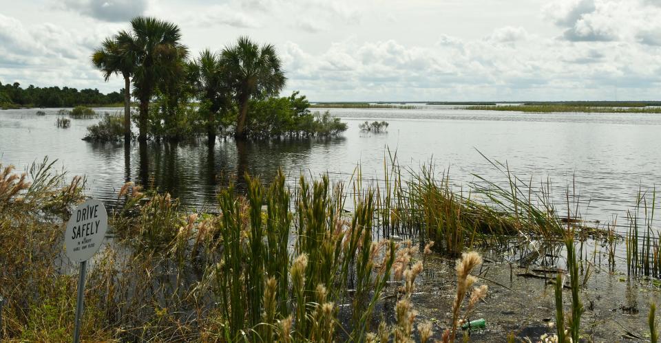 An area along State Road 46 , which is still closed at the St. Johns River, as of October 11, following Hurricane Ian.