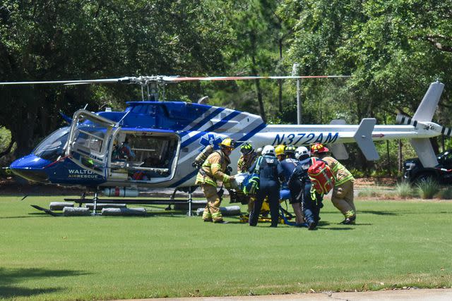 <p>south walton fire district/facebook</p> Lulu being airlifted to a local hospital after being attacked by a shark at Seacrest Beach, Fla., on June 7