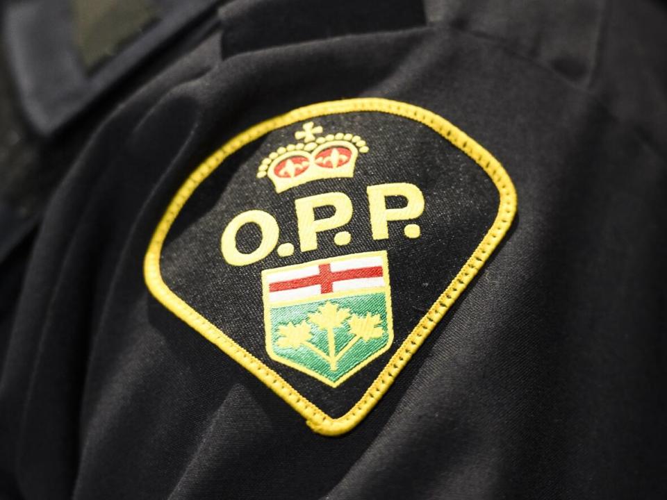 OPP spokesperson Bill Dickson said the force is aware members 'appear to have made donations that have gone toward the unlawful protest in Ottawa.' (Nathan Denette/Canadian Press - image credit)