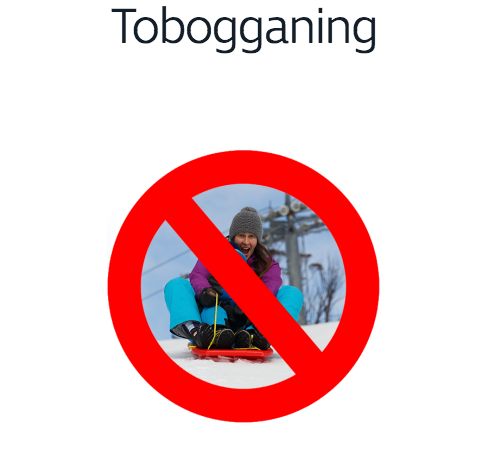 Thredbo says tobogganing is a dangerous activity. Source: Thredbo website