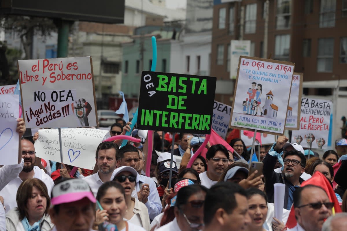 OEA-MARCHA (AP)