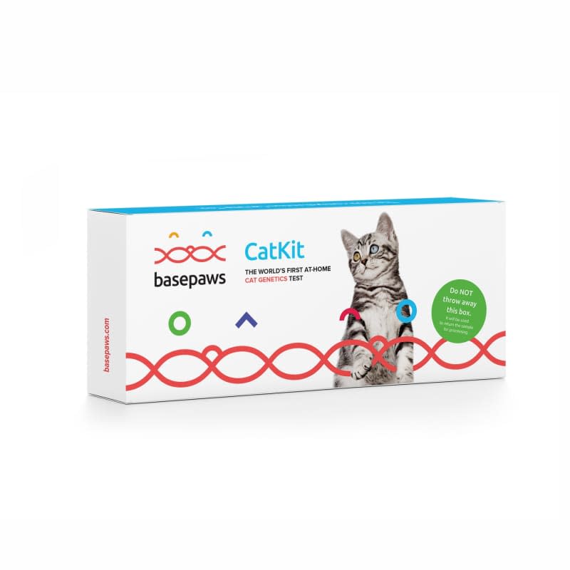 Basepaws Breed and Health DNA Test