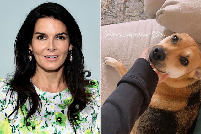 <p>Jamie McCarthy/Getty; Angie Harmon/Instagram</p> Angie Harmon and her dog Ollie