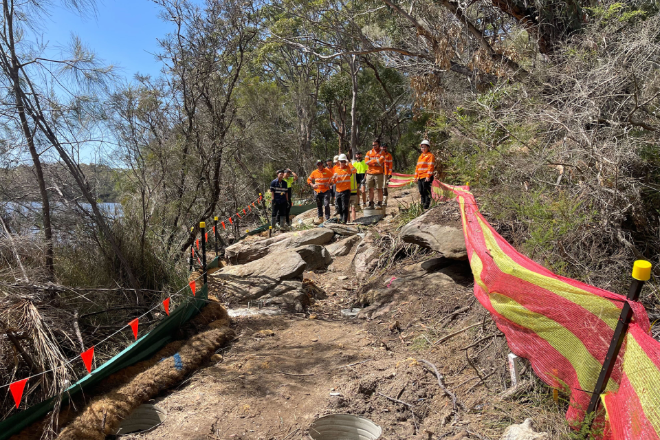 A group of workers standing back on a cleared path at Manly Dam.