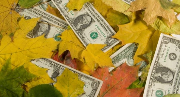 US dollars covered with autumn leaves