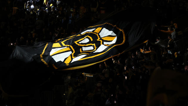 Bruins