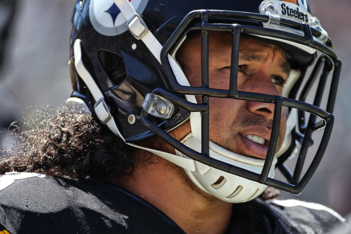 Troy Polamalu headlines 2020 Hall of Fame class