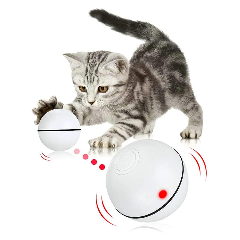 Product photo of a Pakoo Interactive Cat Toy