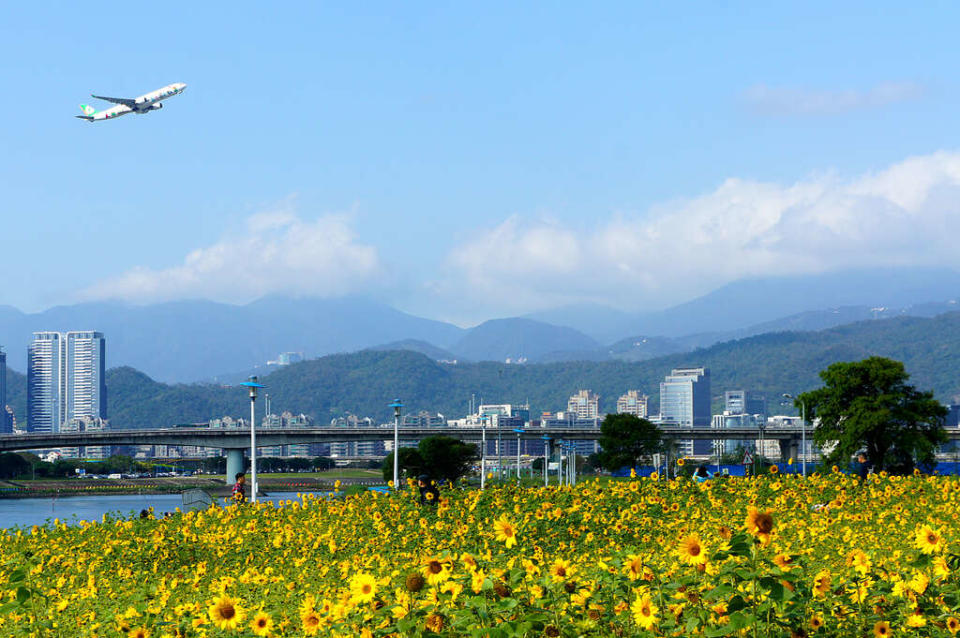 彩虹河濱公園（圖片來源：台北旅遊網）
