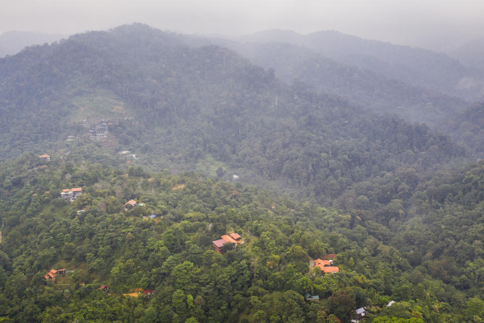 This aerial image shows the tropical forest surrounding the Dusun eco-resort in Negeri Sembilan, Malaysia, Sunday, Aug. 11, 2019. A massive search operation enters its second week for Nora Anne Quoirin, who was discovered missing by her family on Aug. 4, from the Dusun resort. Source: Joshua Paul via AP