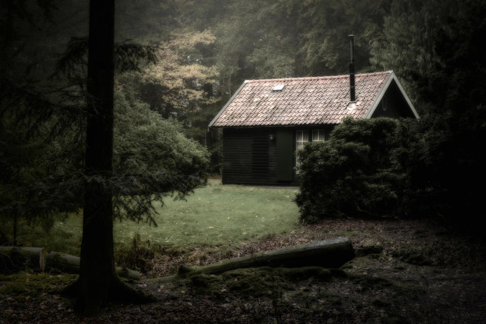 A cabin in the woods