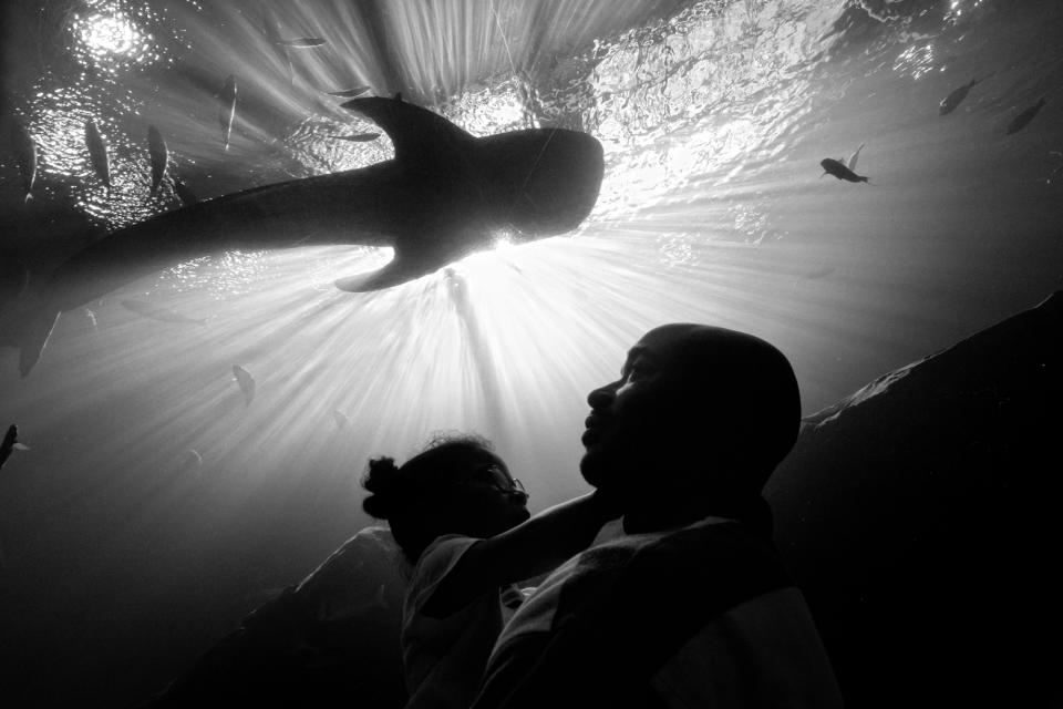 <p>Carlos Richardson and Selah admire the fish at Georgia Aquarium, Atlanta, Ga., 2012. (Photograph © Zun Lee) </p>