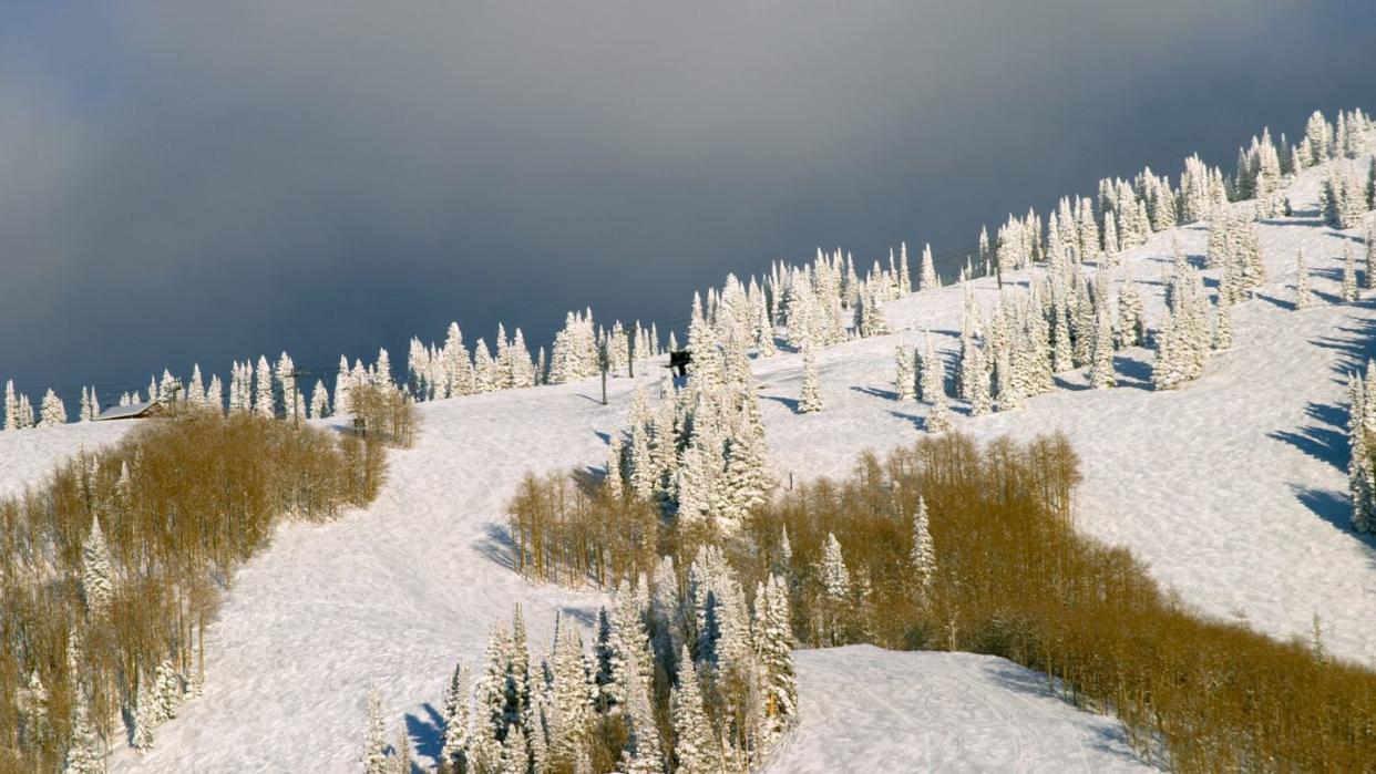 Mountain at winter, Steamboat ski resort, Colorado