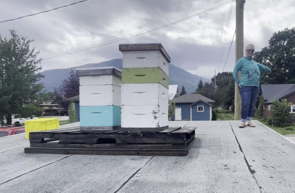 Melissa Hemphill keeps honeybees on the roof of her garage. She says it's safe and convenient, and it wouldn't be allowed the way the new rules are written.