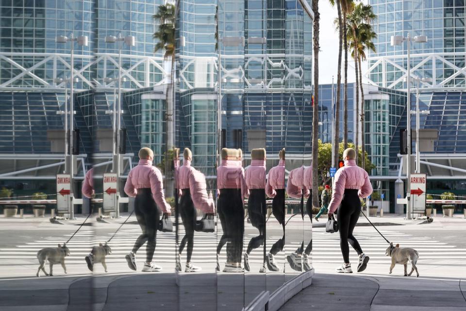 Window panels reflect a passerby in a pink jacket and black leggings with a dog as they walk on a street.