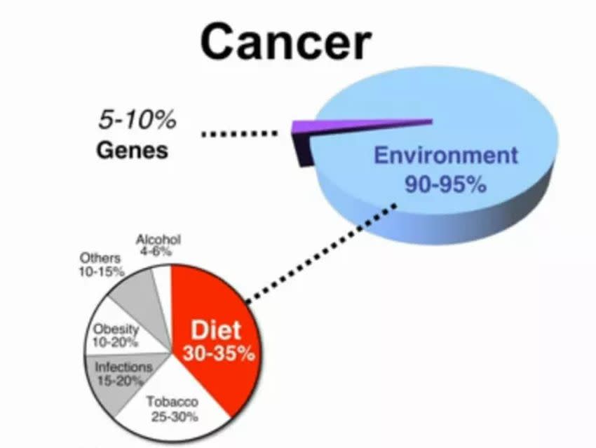 Principales agentes que aumentan la probabilidad de contraer cáncer: tabaco, alcohol, obesidad, sedentarismo