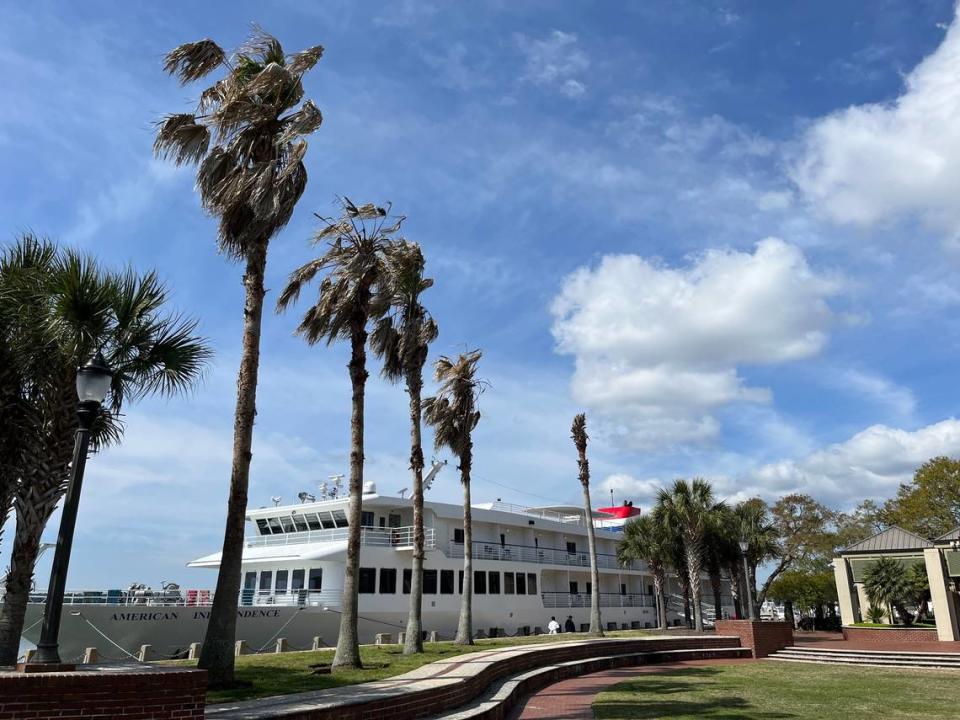 These five Washingtonia palm trees are among 17 unhealthy palms that the city anticipates having to remove from Beaufort Waterfront Park.