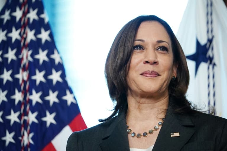 La vice-présidente américaine Kamala Harrris, le 3 juin 2021 à Washington - MANDEL NGAN © 2019 AFP