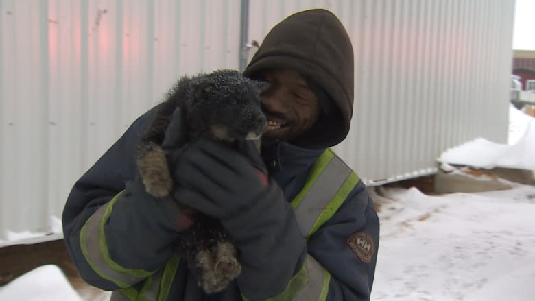 Puppy survives boat fire in Iqaluit that destroyed man's residence