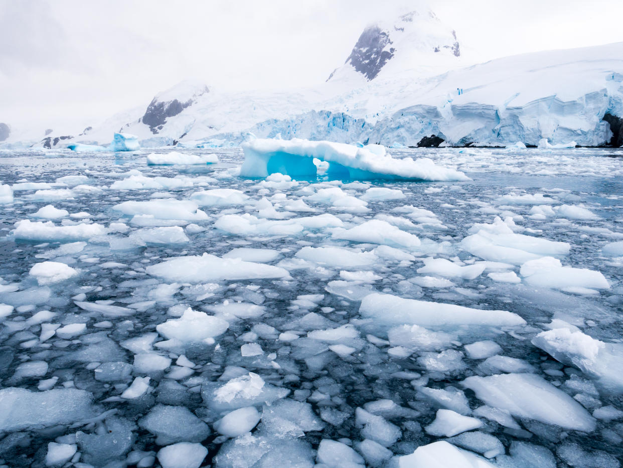 Schwimmende Eisschollen in der Antarktis. (Bild: Getty Images)