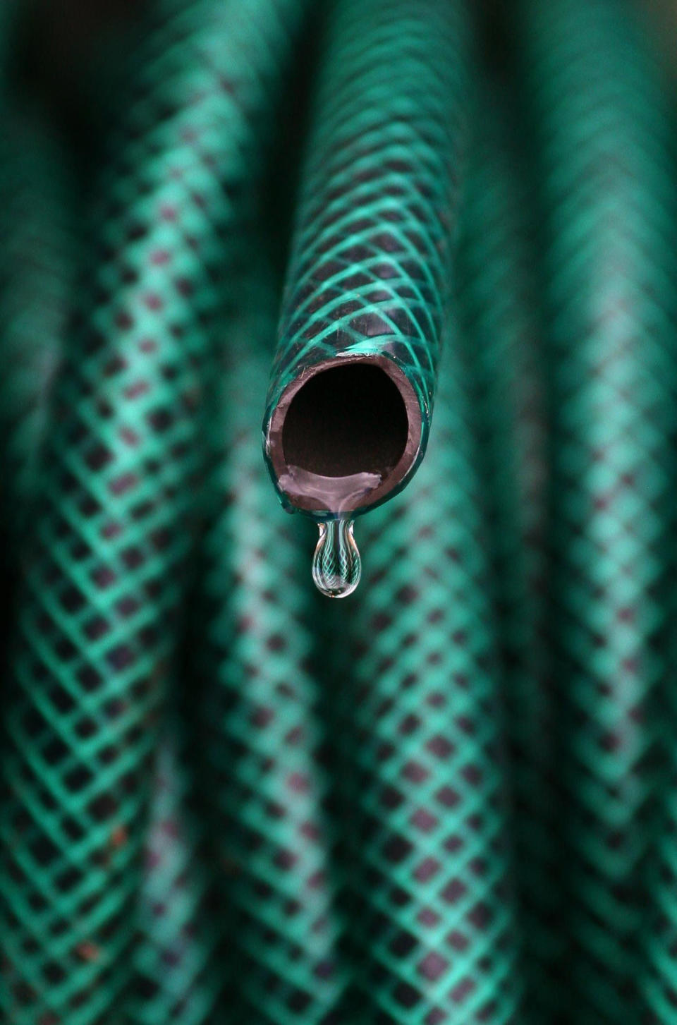 <em>Ban – Northern Ireland has become the first place to introduce a hosepipe ban (Picture: PA)</em>