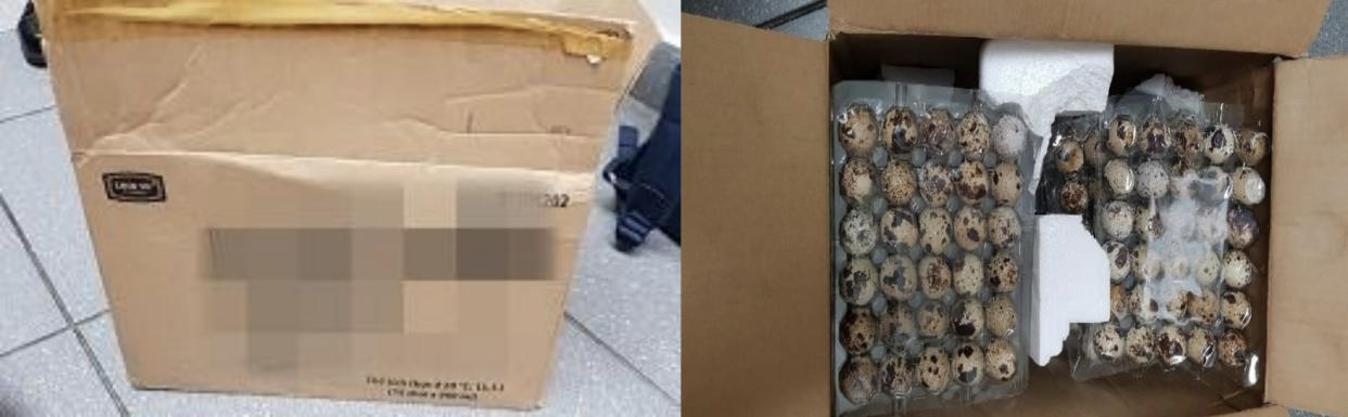 ICA officers detected the eggs in a box at Changi Airport and referred the case to the Agri-Food and Veterinary Authority of Singapore