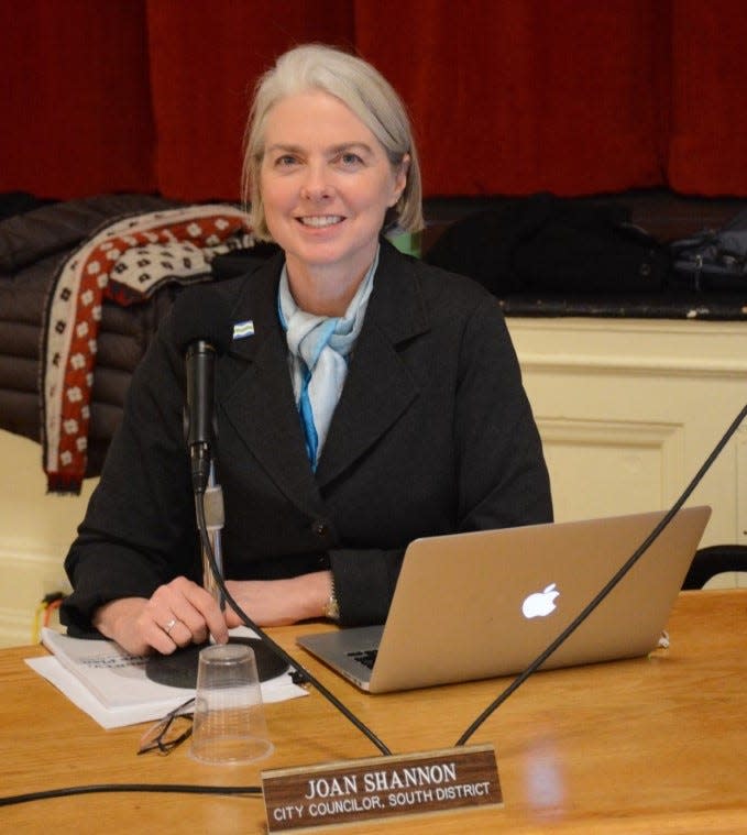 Joan Shannon represents the South District on the Burlington City Council.