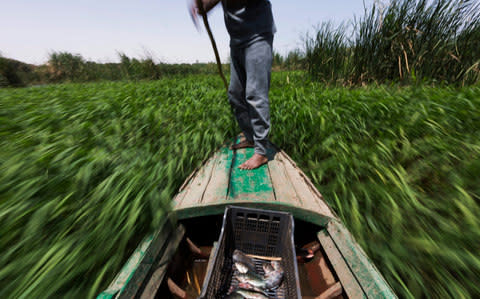 Sayed Ahmed Abdoh poles his boat to check his fish traps in the Nile River, near Abu al-Nasr village, about 770 kilometers (480 miles) south of Cairo - Credit: AP Photo/Hiro Komae