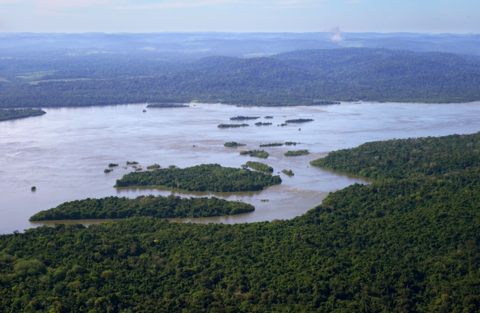 <em>The species were found in ares of the Amazon that are under threat fro human activities (Rex)</em>