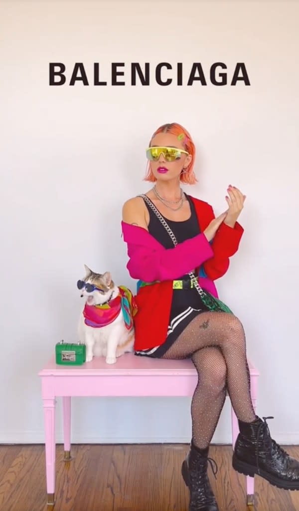 Cat lady couture is picking up steam online thanks to influencers like @ChampagneUnicorns, who dresses her kitten in looks inspired by upscale labels. TikTok/champagneunicorns