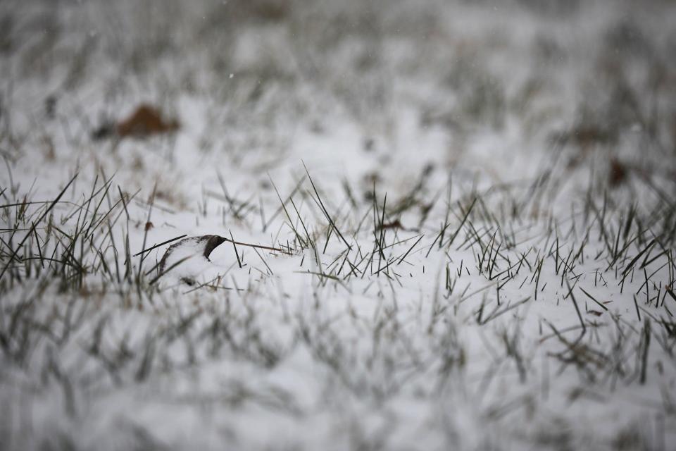 Snow fell on Springfield on as the temperature dropped into the low single digits on Thursday, Dec. 22, 2022.
