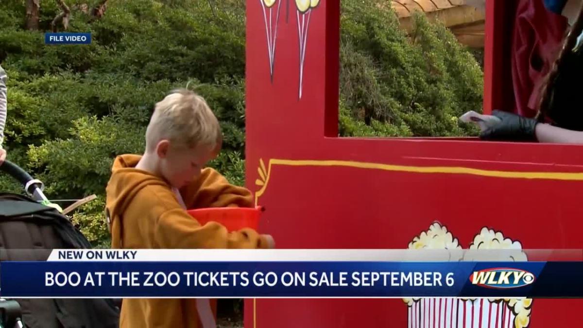 Boo at the Zoo tickets go on sale next Tuesday