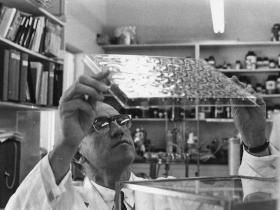 Dr Jonas Salk studying slides in his laboratory, following the invention of his polio vaccine in 1954 (Getty)