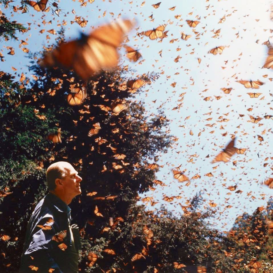 The Royal Family paid tribute to Philip's conservation passion alongside a photo of Philip watching the Monarch butterfly's migration. Photo: Royal Family