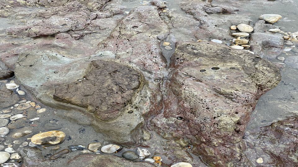 The dinosaur footprints were dicovered on a beach next to a café, a car park and a bus stop. - JBA Consulting/Environment Agency