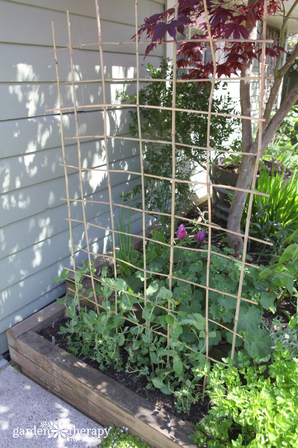 trellis ideas woven bamboo trellis