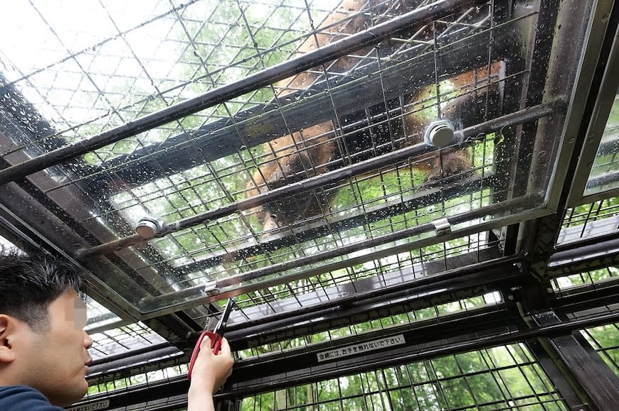 日本富士野生動物園Fuji Safari Park