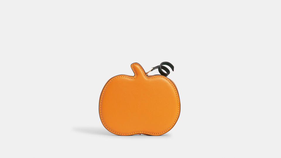 the Pumpkin Coin Case