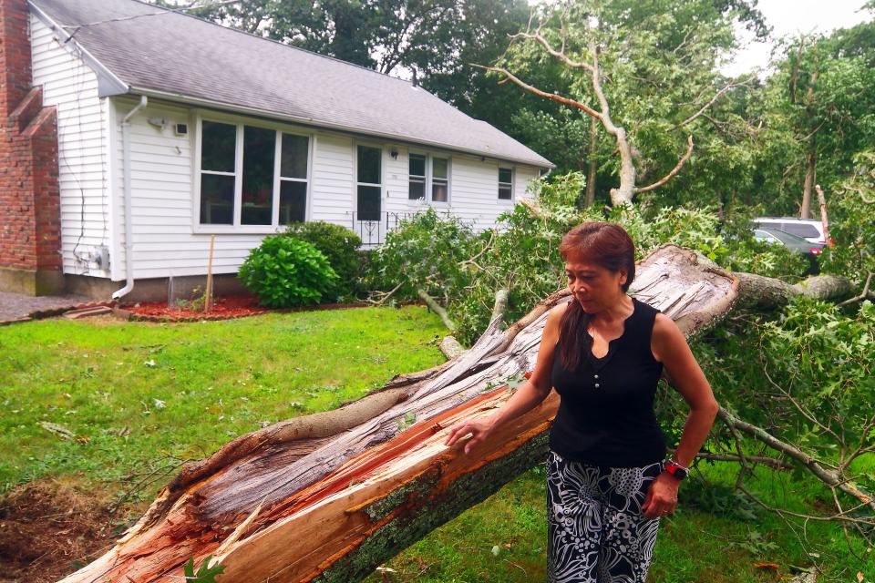 Marie Albaniel stands next to a tree that fell in the front yard of her home at 252 Turnpike St. in Stoughton during a severe storm Friday, Aug. 18, 2023. Albaniel was at work when a friend called her close to 11 a.m. to let her know what had happened.