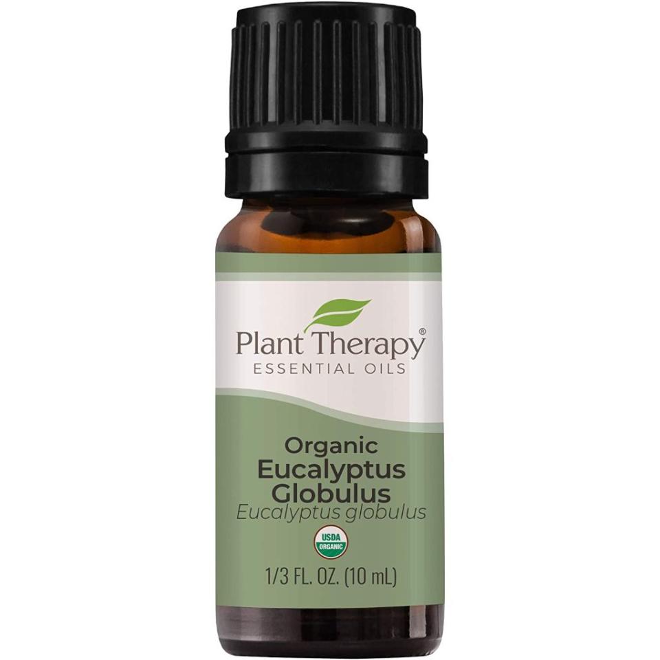 plant therapy essential oils, best essential oils for allergies