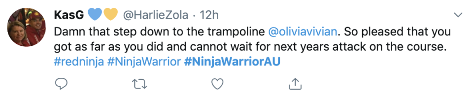 Ninja warrior fan