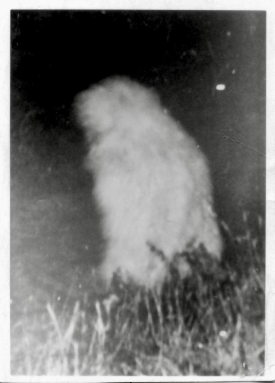 One of two versions of a grainy Polaroid shot at 1:35 a.m. Nov. 19, 1969. This appears to be an original.