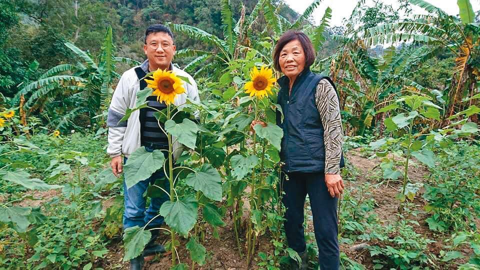 江慶鐘（左）喜歡種菜、種花，孝順的他，每週都陪媽媽（右）在自家農場務農度週末。（江慶鐘提供）