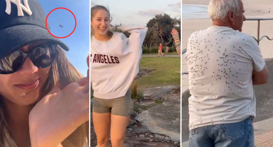 Three images left to right. Left image is of a woman in a cap trying to bat away a fly from her head. Middle image is of a woman outside trying to swish flies away with her jumper. Right image is of an older man in a white shirts with his back covered by hundreds of flies.