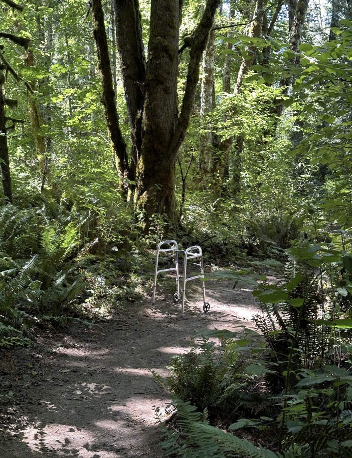 A hiker is placed on a dirt road in a lush green forest