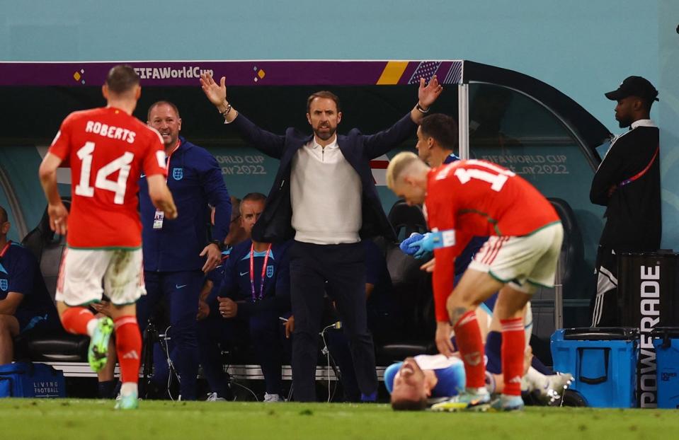 Gareth Southgate reacts as Jordan Henderson goes down (Reuters)